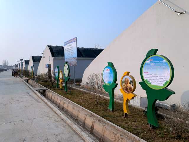 每日一景 山水溝村的美麗蝶變——產(chǎn)業(yè)助力發(fā)展，農(nóng)業(yè)技術(shù)推廣共建美麗鄉(xiāng)村