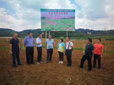 省農(nóng)業(yè)科技發(fā)展中心主任潘爾珣深入畢節(jié)調(diào)研，指導(dǎo)基層農(nóng)技推廣補(bǔ)助項(xiàng)目建設(shè)工作