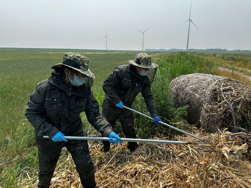 長(zhǎng)在科技小院里的“小草” 農(nóng)業(yè)技術(shù)推廣的微光與韌勁